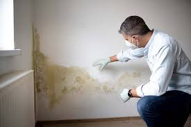 Mold Removal Services